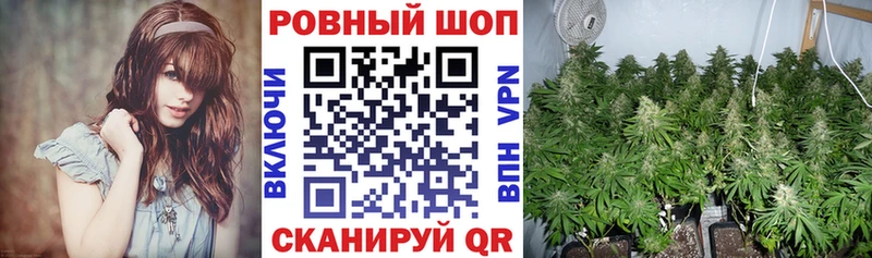 Виды наркотиков купить Онега Бошки Шишки  КОКАИН  ЭКСТАЗИ  ГАШ 
